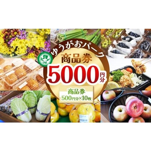 ふるさと納税 イベントやチケット等 栃木県 下野市 ゆうがおパーク商品券 5,000円分 | 商品券 農産物直売所 ギフト券 産直ギフト 地元野菜 地元応援 新鮮野菜 …