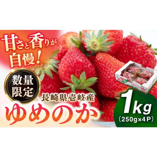 ふるさと納税 いちご 長崎県 壱岐市 先行予約 壱岐市産 いちご ゆめのか 1kg(250g×4パック) 2027年3月以降順次発送 [壱岐市] 壱岐市農業協同組合 イチゴ…