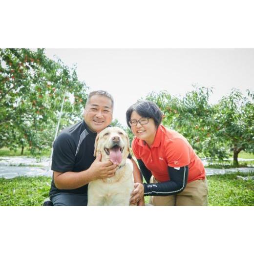 ふるさと納税 もも 福島県 福島市 No.2723福島市産 川中島白桃 約2kg 2026年発送 先行予約の画像