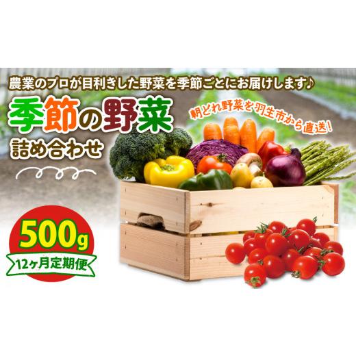 ふるさと納税 セット・詰合せ 埼玉県 羽生市 定期便 季節 野菜 詰め合わせ 500g 12ヶ月 連続お届け 果物 産地直送 朝どれ フルーツトマト ほうれんそう 白菜 …の画像