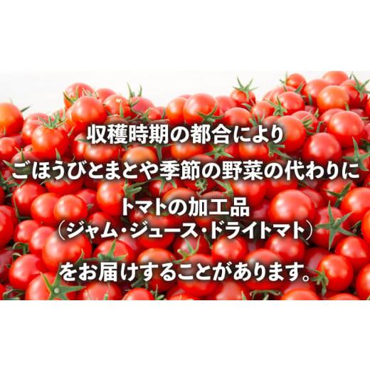 ふるさと納税 セット・詰合せ 埼玉県 羽生市 定期便 季節 野菜 詰め合わせ 500g 12ヶ月 連続お届け 果物 産地直送 朝どれ フルーツトマト ほうれんそう 白菜 …の画像