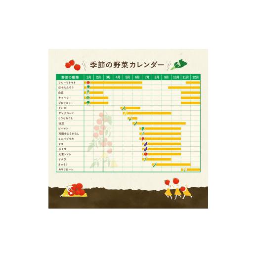 ふるさと納税 セット・詰合せ 埼玉県 羽生市 定期便 季節 野菜 詰め合わせ 500g 12ヶ月 連続お届け 果物 産地直送 朝どれ フルーツトマト ほうれんそう 白菜 …の画像