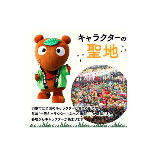 ふるさと納税 セット・詰合せ 埼玉県 羽生市 定期便 季節 野菜 詰め合わせ 500g 12ヶ月 連続お届け 果物 産地直送 朝どれ フルーツトマト ほうれんそう 白菜 …の画像