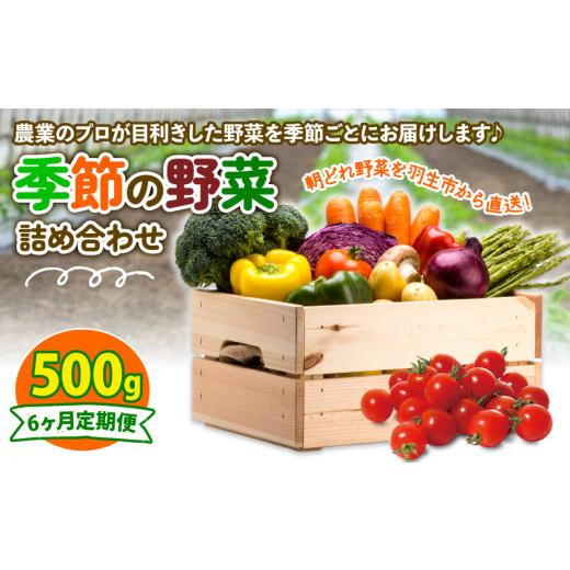ふるさと納税 セット・詰合せ 埼玉県 羽生市 定期便 季節 野菜 詰め合わせ 500g 6ヶ月 連続お届け 果物 産地直送 朝どれ フルーツトマト ほうれんそう 白菜 キ…_1