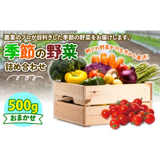 ふるさと納税 セット・詰合せ 埼玉県 羽生市 季節 野菜 詰め合わせ 500g 果物 産地直送 朝どれ フルーツトマト ほうれんそう 白菜 キャベツ ブロッコリー そら…_1