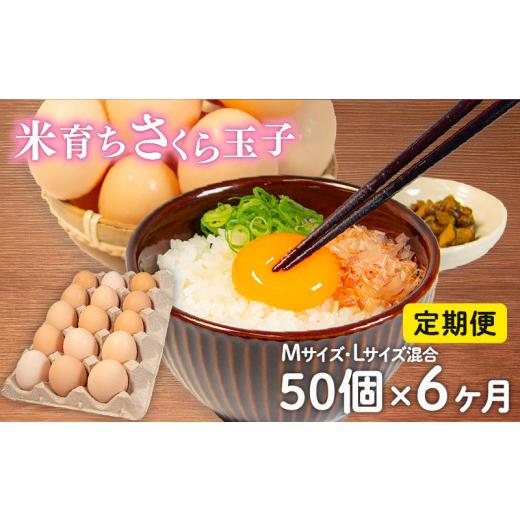 ふるさと納税 卵（鶏、烏骨鶏等） 滋賀県 竜王町 定期便 卵 50個 × 6ヶ月 ( たまご 45個 + 割れ補償 5個 ) 6回 Mサイズ Lサイズ 混合 定期便 国産 米育ち さ…_1