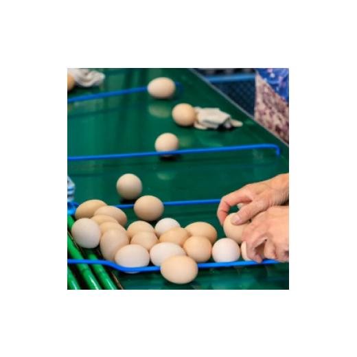 ふるさと納税 卵（鶏、烏骨鶏等） 滋賀県 竜王町 定期便 卵 50個 × 6ヶ月 ( たまご 45個 + 割れ補償 5個 ) 6回 Mサイズ Lサイズ 混合 定期便 国産 米育ち さ…_3