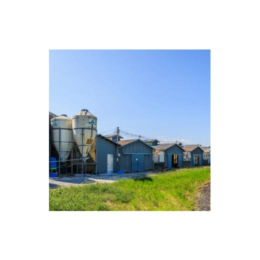 ふるさと納税 卵（鶏、烏骨鶏等） 滋賀県 竜王町 定期便 卵 50個 × 6ヶ月 ( たまご 45個 + 割れ補償 5個 ) 6回 Mサイズ Lサイズ 混合 定期便 国産 米育ち さ…_5