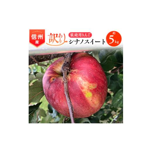 ふるさと納税 りんご 長野県 南箕輪村 2025年 信州のりんご ふるさと納税 りんご 長野県 南箕輪村 2025年 信州のりんご