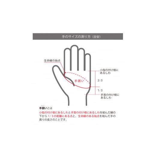 ふるさと納税 雑貨・日用品 香川県 東かがわ市  No.4631-6047 2604ゴルフ用手袋（メンズ左手用）H-ONE Graphic (エイチ-ワン グラフィック) 23cm／デジタルカ…_6