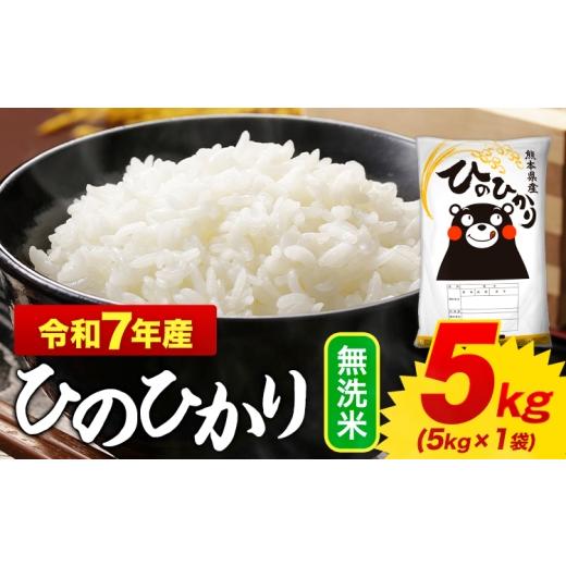 ふるさと納税 米 ヒノヒカリ 熊本県 御船町 年内発送 無洗米 ひのひかり 5kg 令和7年産 熊本県産 ふるさと納税 無洗米 精米 ひの 米 こめ ふるさとのうぜい …