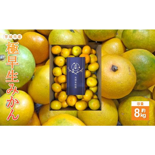 ふるさと納税 果物類 みかん 熊本県 宇城市 先行予約 宇城市産 極早生みかん 約8kg 2026年9月上旬から10月下旬発送予定 極早生 早生 みかん ミカン 柑橘 ?橋果…