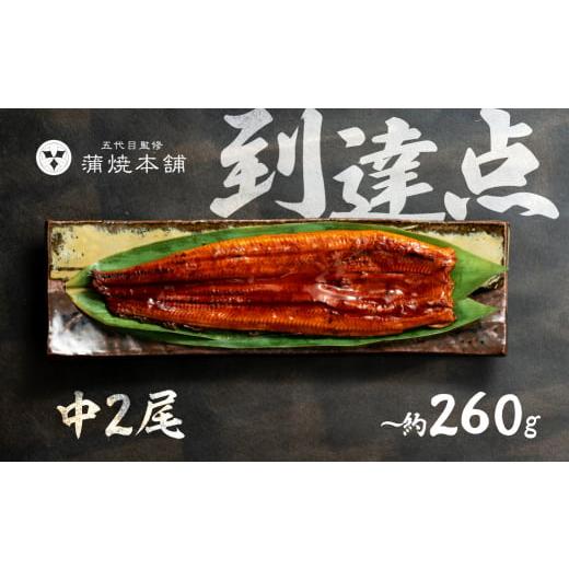 ふるさと納税 うなぎ 愛知県 豊橋市 ふっくら肉厚 国産うなぎ 蒲焼 中 2尾 老舗 国産うなぎ セット 詰め合わせ 蒲焼 ウナギ うなぎ unagi 鰻 2尾 お届内容:中…