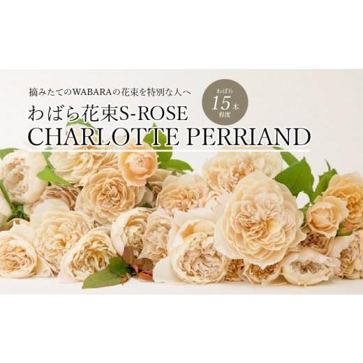 ふるさと納税 花・苗木 花束 滋賀県 守山市 わばら花束S-ROSE CHARLOTTE PERRIAND WABARA 摘みたて ブーケ 花束 Rose Universe