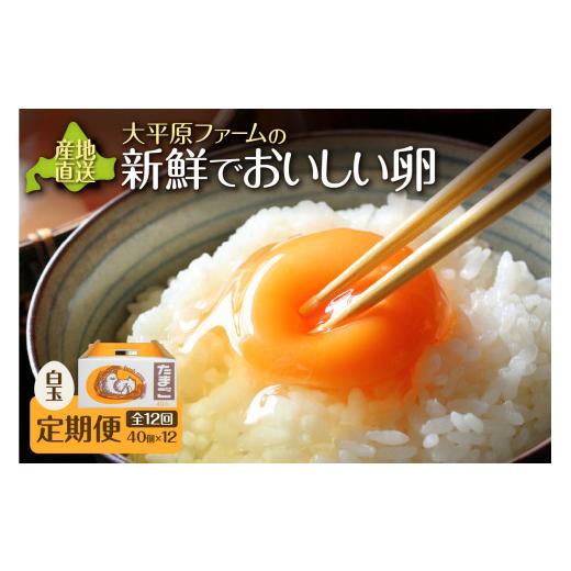 ふるさと納税 卵（鶏、烏骨鶏等） 北海道 清水町  12回定期便 大平原ファームの新鮮でおいしい卵 計40個(白卵)×12ヶ月_S035-0005_1