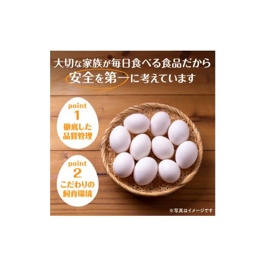 ふるさと納税 卵（鶏、烏骨鶏等） 北海道 清水町  12回定期便 大平原ファームの新鮮でおいしい卵 計40個(白卵)×12ヶ月_S035-0005_2