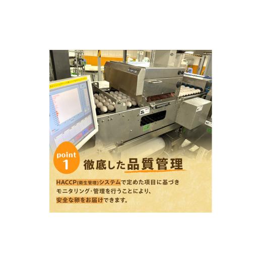 ふるさと納税 卵（鶏、烏骨鶏等） 北海道 清水町  12回定期便 大平原ファームの新鮮でおいしい卵 計40個(白卵)×12ヶ月_S035-0005_3