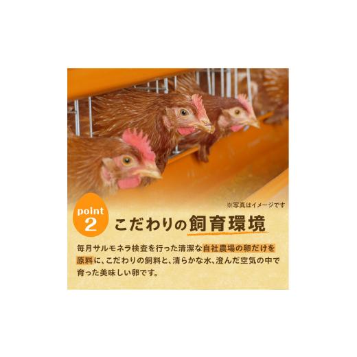 ふるさと納税 卵（鶏、烏骨鶏等） 北海道 清水町  12回定期便 大平原ファームの新鮮でおいしい卵 計40個(白卵)×12ヶ月_S035-0005_4