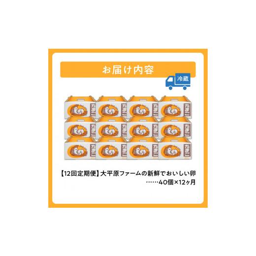 ふるさと納税 卵（鶏、烏骨鶏等） 北海道 清水町  12回定期便 大平原ファームの新鮮でおいしい卵 計40個(白卵)×12ヶ月_S035-0005_6