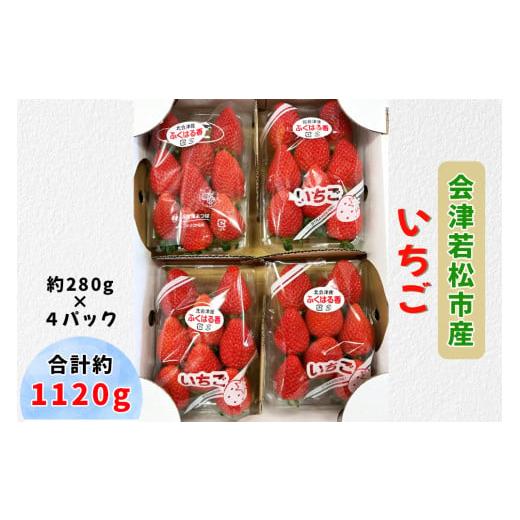 ふるさと納税 いちご 福島県 会津若松市 会津若松市産 いちご 約1120g (約280g×4パック)|2025年産 令和7年産 いちご イチゴ 苺 フルーツ 果物 農協 会津産 …