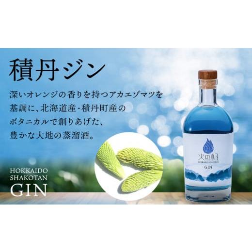 ふるさと納税 お酒 洋酒 北海道 積丹町 ジン 北海道 積丹 酒 蒸溜酒