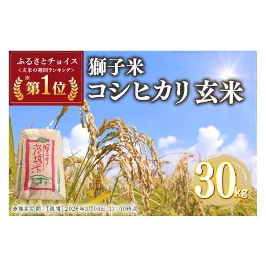 ふるさと納税 玄米 茨城県 石岡市 令和7年産 獅子米 コシヒカリ 30kg