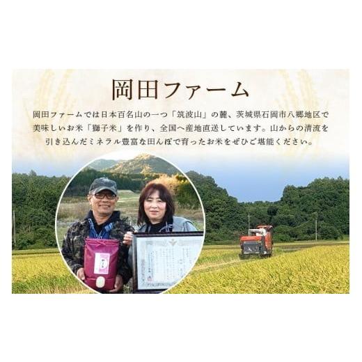 ふるさと納税 玄米 茨城県 石岡市 令和7年産 獅子米 コシヒカリ 30kg