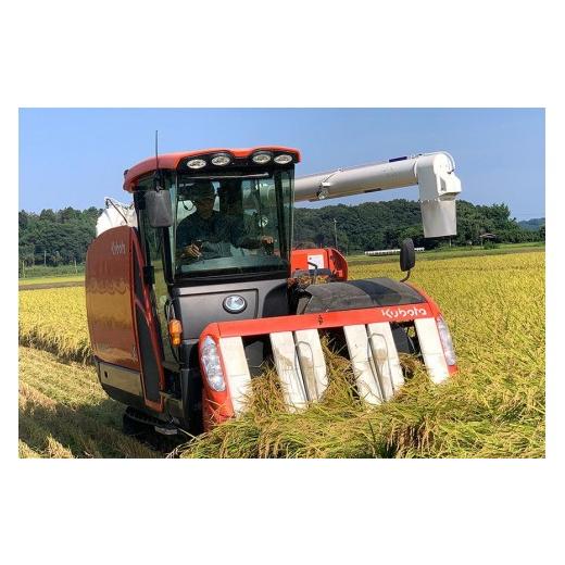 ふるさと納税 玄米 茨城県 石岡市 令和7年産 獅子米 コシヒカリ 30kg