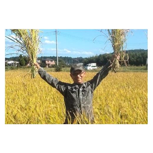 ふるさと納税 玄米 茨城県 石岡市 令和7年産 獅子米 コシヒカリ 30kg