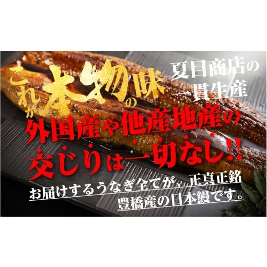 ふるさと納税 うなぎ 愛知県 豊橋市 通常お届け 極上 豊橋うなぎ 紅白セット 3尾 蒲焼 2尾 白焼 1尾 夏目商店 通常お届け_2