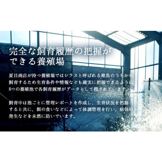 ふるさと納税 うなぎ 愛知県 豊橋市 通常お届け 極上 豊橋うなぎ 紅白セット 3尾 蒲焼 2尾 白焼 1尾 夏目商店 通常お届け_8
