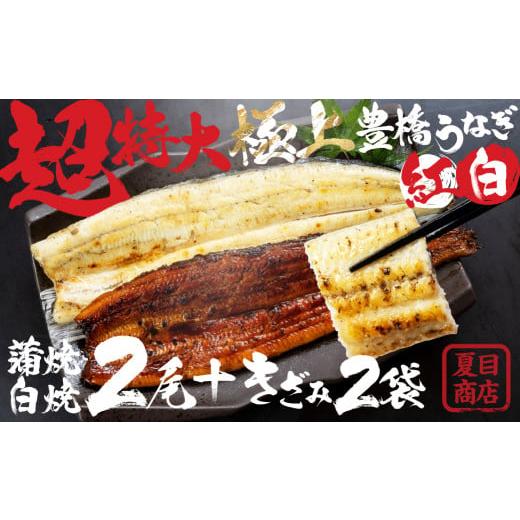 ふるさと納税 うなぎ 愛知県 豊橋市 すぐにお届け 極上 豊橋うなぎ 長蒲焼 長白焼(特大2尾)+ 蒲焼きざみ 2袋 紅白 セット 夏目商店 すぐにお届け