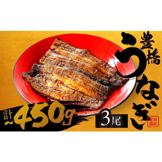 ふるさと納税 うなぎ 愛知県 豊橋市 通常お届け 極上 豊橋うなぎ 蒲焼 3尾 ~450g 夏目商店 通常お届け