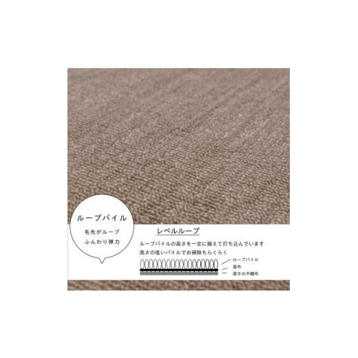 ふるさと納税 家具 大阪府 和泉市 カーペット 江戸間 3畳 防音 抗菌防臭 厚手 ツワブキ 176×261cm グレージュ 日本製 1519771 |  | 02