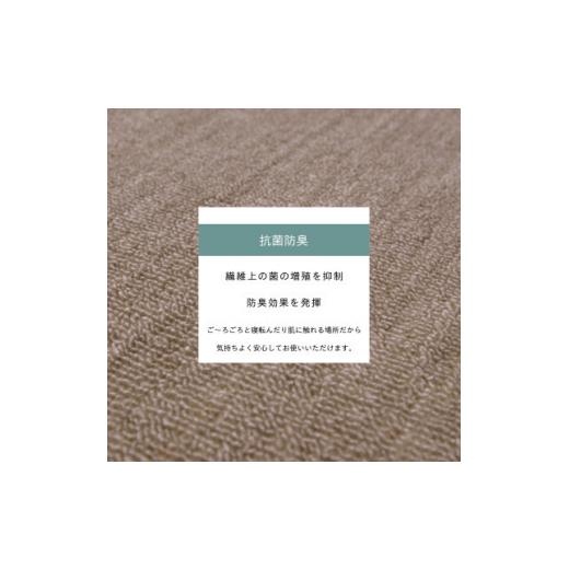 ふるさと納税 家具 大阪府 和泉市 カーペット 江戸間 3畳 防音 抗菌防臭 厚手 ツワブキ 176×261cm グレージュ 日本製 1519771 |  | 03
