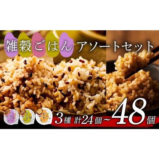 ふるさと納税 玄米 大阪府 松原市 雑穀 ごはんパック 3種 セット 160g 24個 玄米 十六穀米 発芽玄米 パックごはん パックご飯 ごはんパック ご飯パック パック…