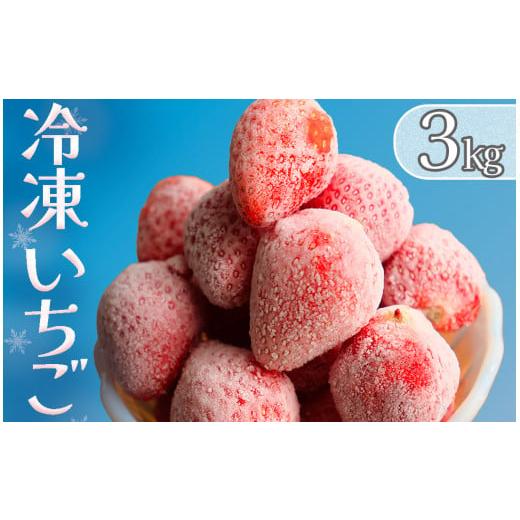 ふるさと納税 いちご 静岡県 南伊豆町 先行予約 _ 2025年3月から