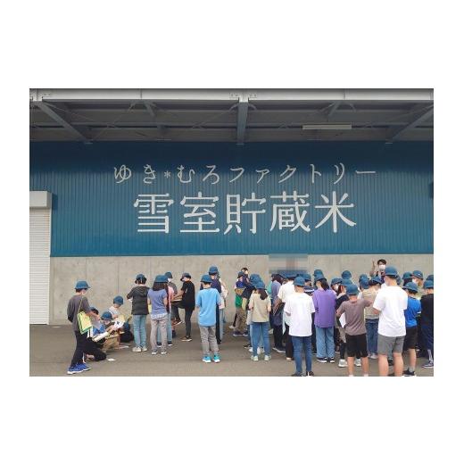 ふるさと納税 米 コシヒカリ 新潟県 南魚沼市  令和７年産 定期便5kg×3回 雪室貯蔵米 南魚沼塩沢産コシヒカリの画像