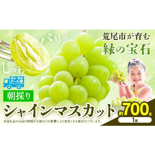 ふるさと納税 ぶどう マスカット 熊本県 荒尾市 先行予約 マスカット シャインマスカット 朝採り シャインマスカット 約700g 1房 前田果樹園[8月下旬-9月末…