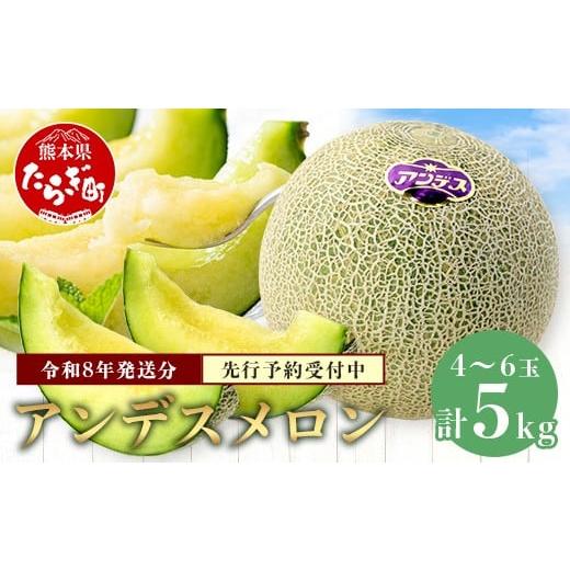 ふるさと納税 メロン メロン青肉 熊本県 多良木町 2026年4月下旬以降発送分 アンデスメロン 4玉〜6玉 (1箱5kg) 先行予約 熊本県 多良木町産 果物 フルーツ メ…