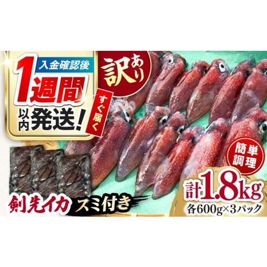 ふるさと納税 いか 長崎県 対馬市  1週以内送りとどける おスミ付き添い人 訳蟻 剣先いか 1.8kg(3風呂敷き包み) 対馬市 対馬領域会社 凝結送りとどける 事あたらしい いか 飾り気の無い膳だて 出どころ直送 小…