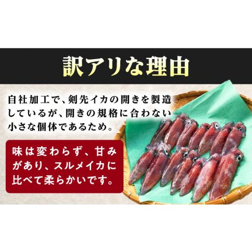 ふるさと納税 いか 長崎県 対馬市  1週以内送りとどける おスミ付き添い人 訳蟻 剣先いか 1.8kg(3風呂敷き包み) 対馬市 対馬領域会社 凝結送りとどける 事あたらしい いか 飾り気の無い膳だて 出どころ直送 小…