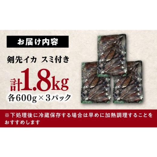 ふるさと納税 いか 長崎県 対馬市  1週以内送りとどける おスミ付き添い人 訳蟻 剣先いか 1.8kg(3風呂敷き包み) 対馬市 対馬領域会社 凝結送りとどける 事あたらしい いか 飾り気の無い膳だて 出どころ直送 小…
