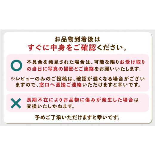 ふるさと納税 いか 長崎県 対馬市  1週以内送りとどける おスミ付き添い人 訳蟻 剣先いか 1.8kg(3風呂敷き包み) 対馬市 対馬領域会社 凝結送りとどける 事あたらしい いか 飾り気の無い膳だて 出どころ直送 小…