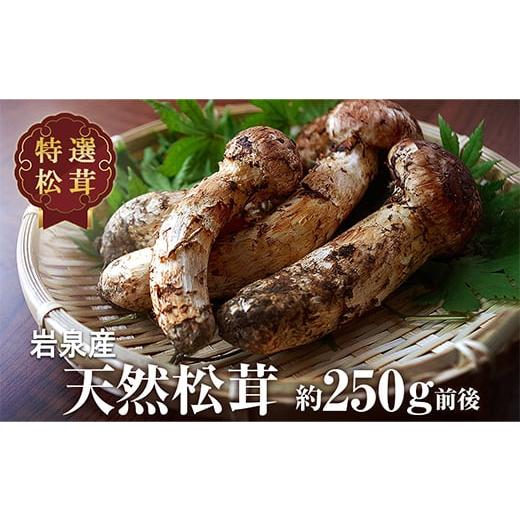 北海道　松茸　170g 楽天市場】松茸 北海道の通販