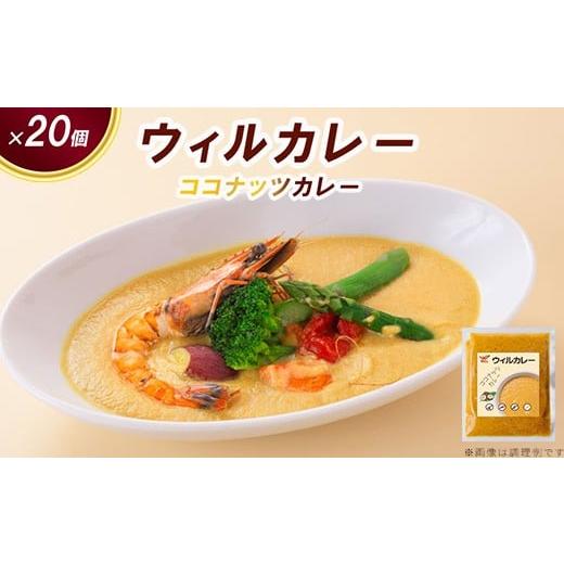 ふるさと納税 惣菜・レトルト 冷凍 愛知県 春日井市 ウィルカレー ココナッツカレー20個入:甘みと旨味が際立つまろやかカレー 沖縄・離島への配送不可