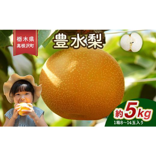 ふるさと納税 梨 栃木県 高根沢町 高根沢町産 豊水梨 約5kg(8〜14玉)| 梨 なし ナシ 果物 くだもの フルーツ 甘い 秋の味覚 産地直送 期間限定 季節限定 季…