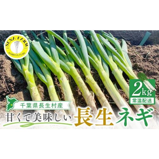 ふるさと納税 野菜類 ねぎ 千葉県 長生村 AD01-002 長生ねぎ(2kg) AD01-002 長生ねぎ(2kg)