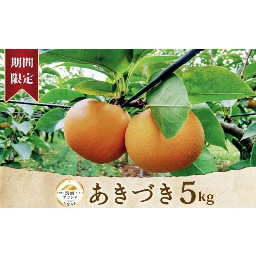 ふるさと納税 梨 茨城県 筑西市 梨 あきづき 5kg (8〜14玉) 1箱 先行予約 | なし ナシ 秋月 旬の梨 和梨 5キロ 期間限定 果物 くだもの フルーツ デザート 新…_1