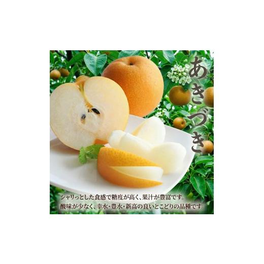ふるさと納税 梨 茨城県 筑西市 梨 あきづき 5kg (8〜14玉) 1箱 先行予約 | なし ナシ 秋月 旬の梨 和梨 5キロ 期間限定 果物 くだもの フルーツ デザート 新…_2